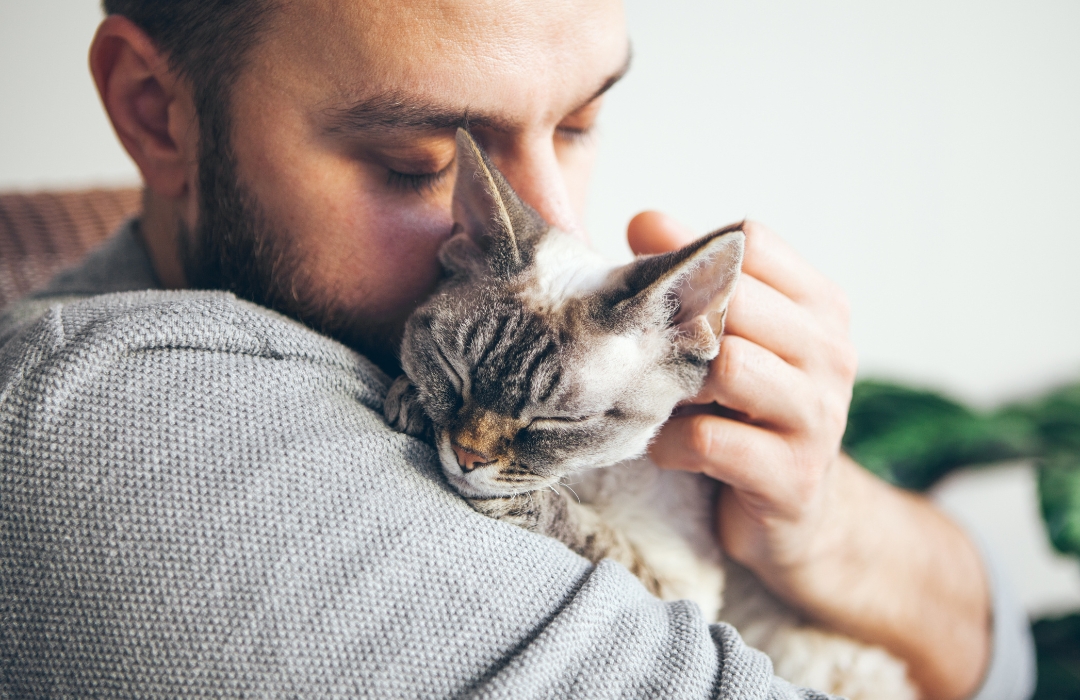 A man gently holding a cat in his arms