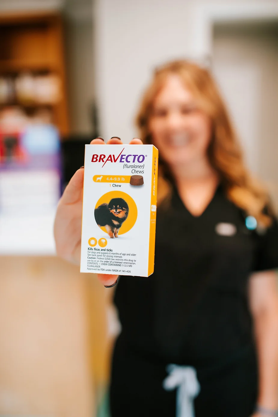 Picture of The Importance Of Pet Flea And Tick Prevention | Twin Oaks Veterinary ...