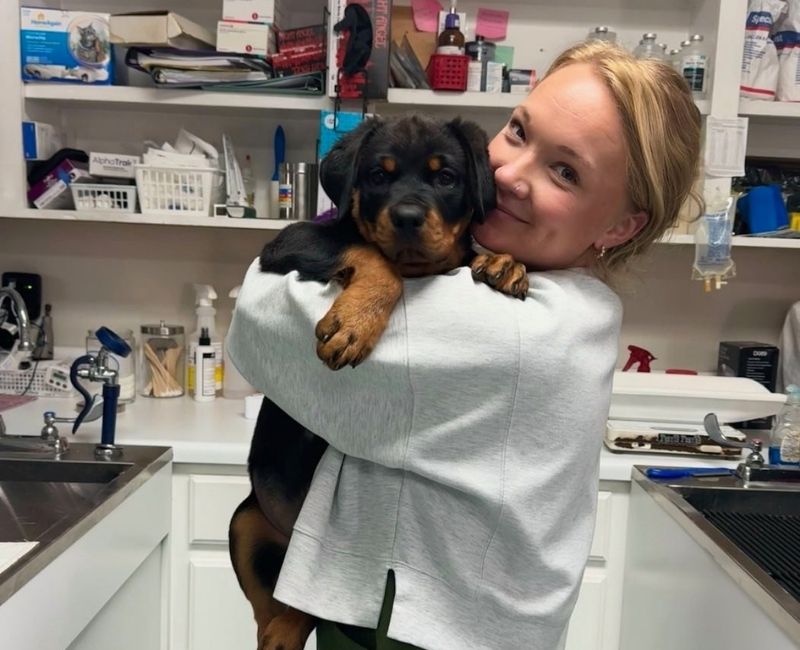 vet staff affectionately holding a dog