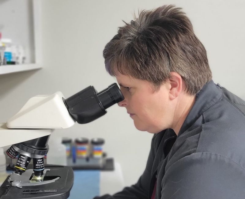 Vet staff testing sample in a microscope