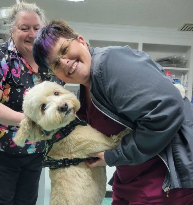 Vet staff holding a dog standing on its hind legs