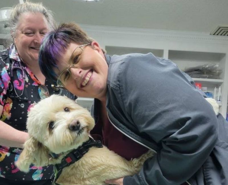  Vet staff holding a dog standing on its hind legs