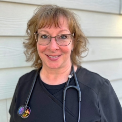 vet staff examining a digital x-ray